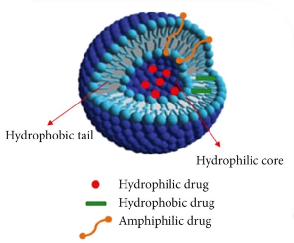 FSKIN BODY ΝΙΟΣΩΜΑΤΑ 1