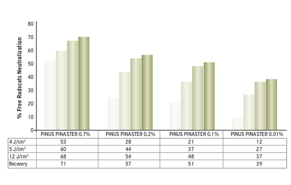 Pinus-Pinaster-VS-βιταμίνη-C-και-βιταμίνη-Ε